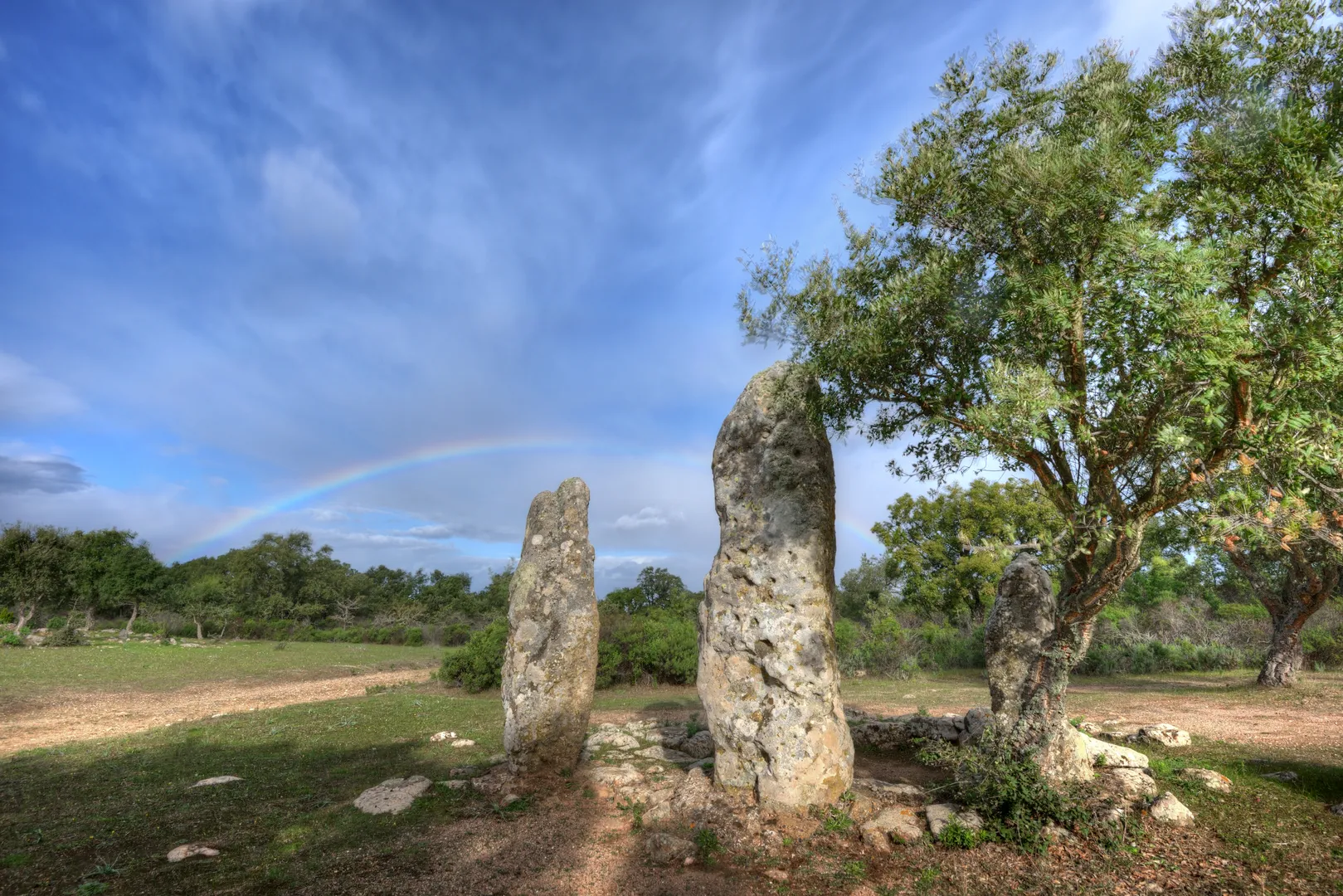 Menhir del parco archeologico di Pranu Mutteddu - Foto di Castangia
