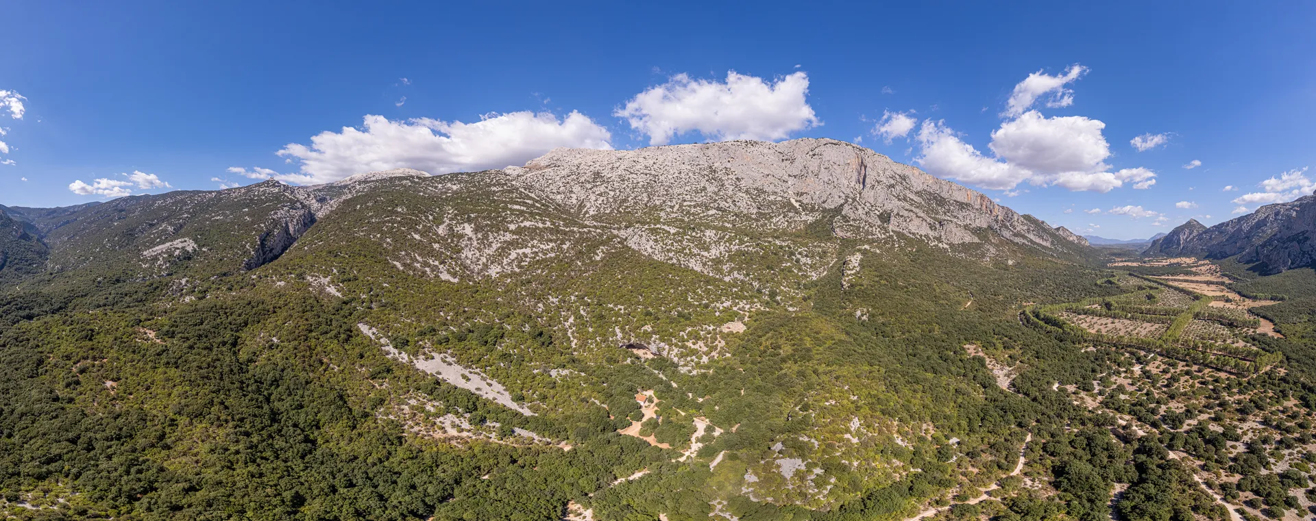 Grotta Corbeddu - 2